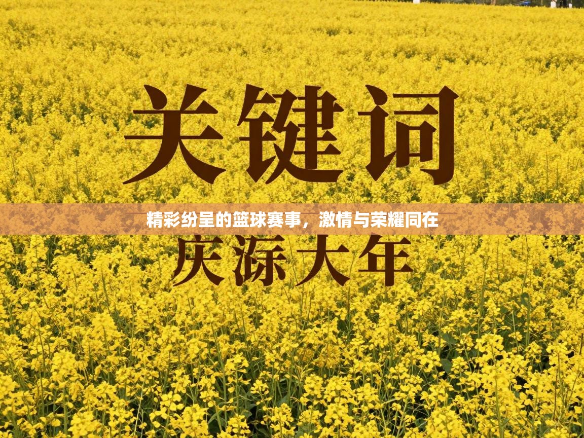 精彩纷呈的篮球赛事，激情与荣耀同在  第2张