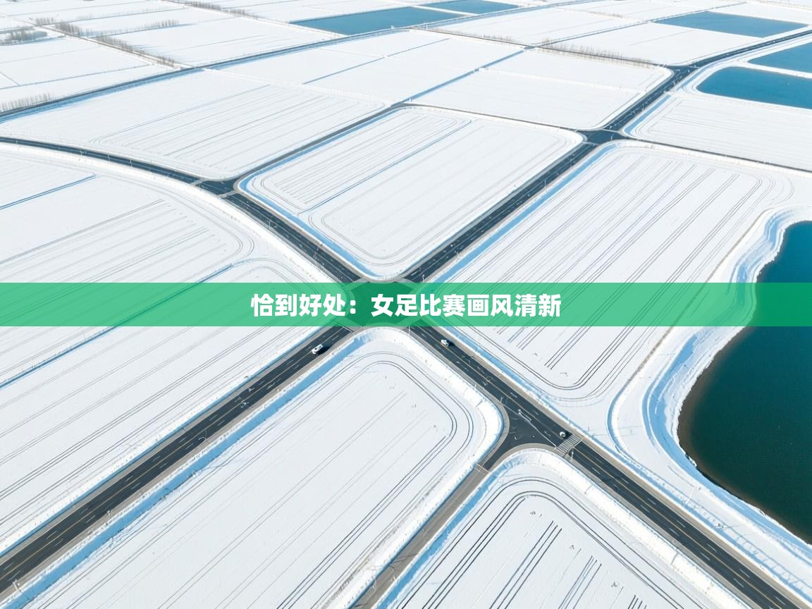 恰到好处：女足比赛画风清新  第2张