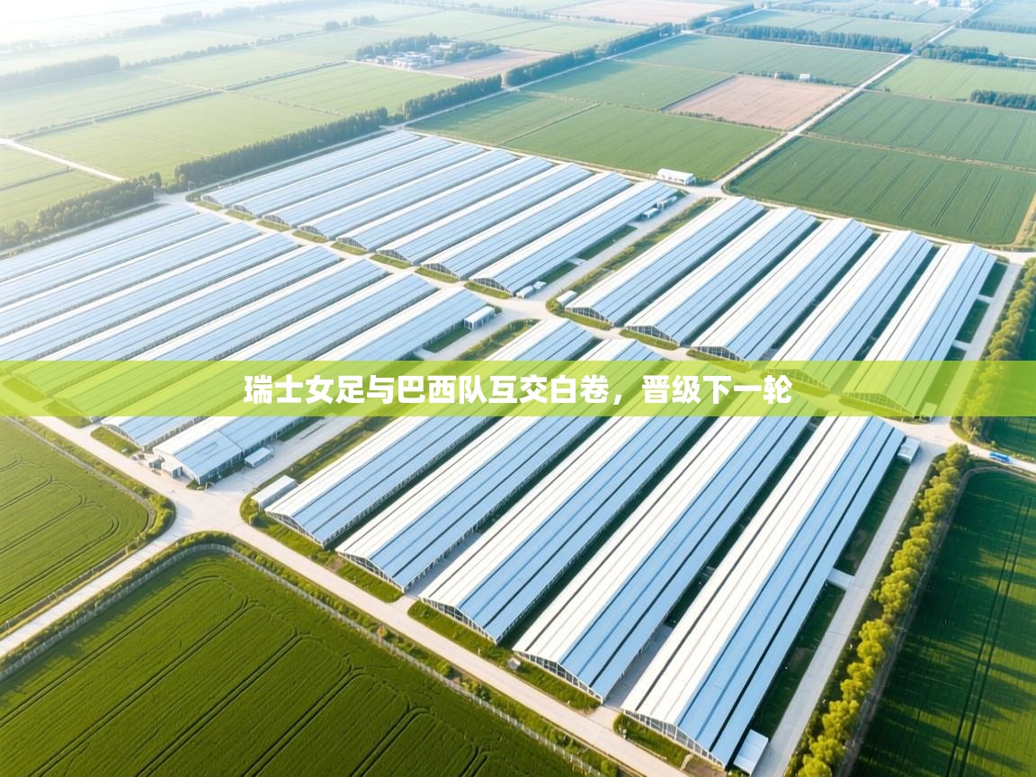 瑞士女足与巴西队互交白卷，晋级下一轮  第2张