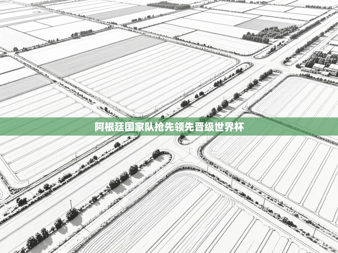 阿根廷国家队抢先领先晋级世界杯  第2张