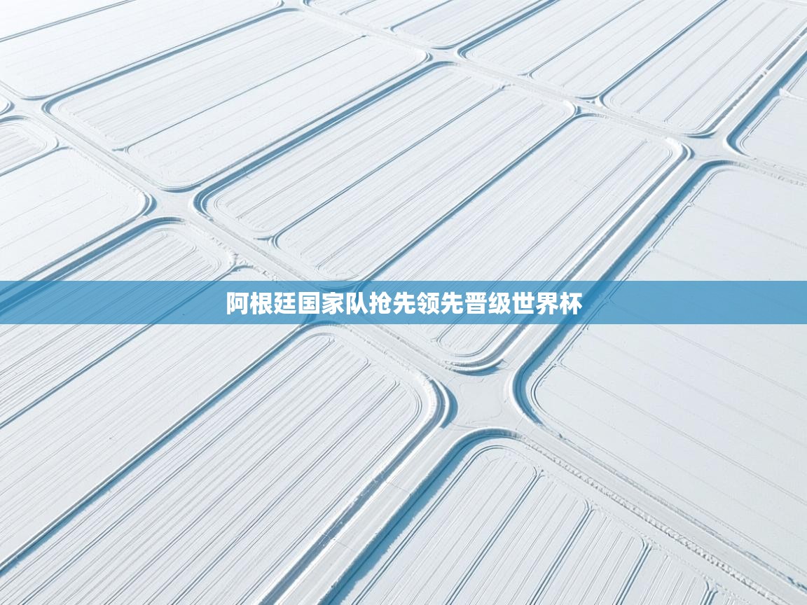 阿根廷国家队抢先领先晋级世界杯  第1张