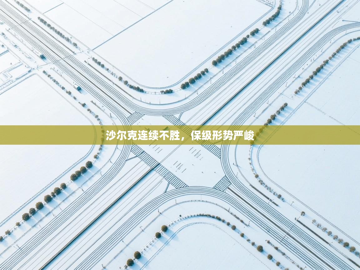 沙尔克连续不胜，保级形势严峻